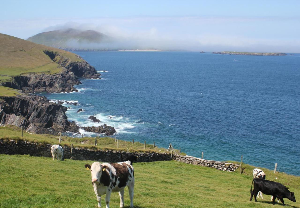Dingle Harbour Cottages 3 Bed Sleeps 7 By Trident Holiday Homes Екстериор снимка